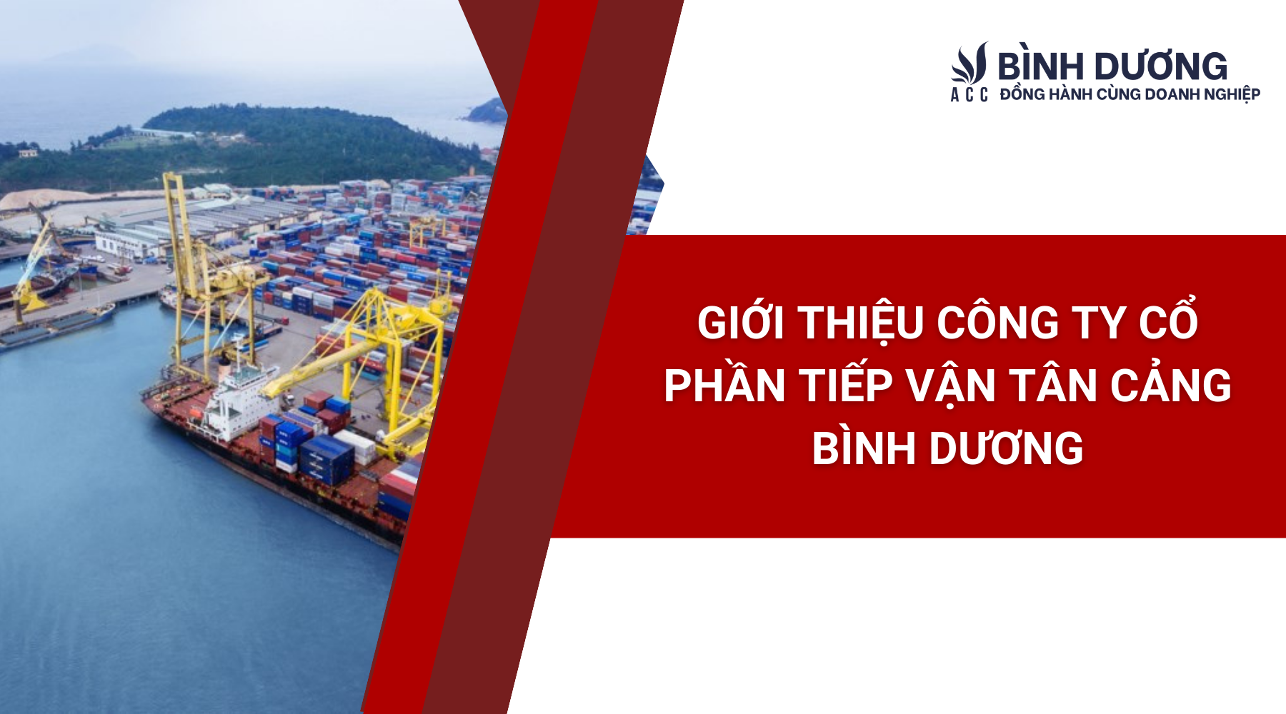 Giới thiệu Công ty Cổ phần Tiếp vận Tân Cảng Bình Dương