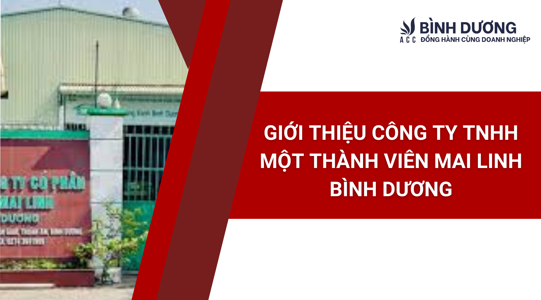 Giới thiệu công ty TNHH một thành viên Mai Linh bình dương