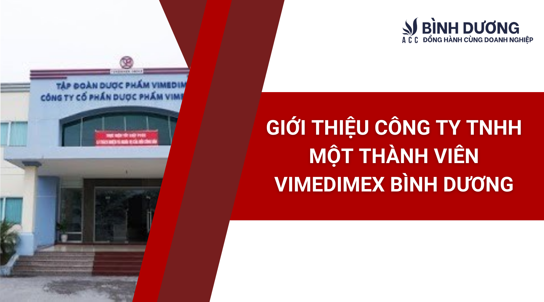 Giới thiệu công ty TNHH một thành viên Vimedimex bình dương