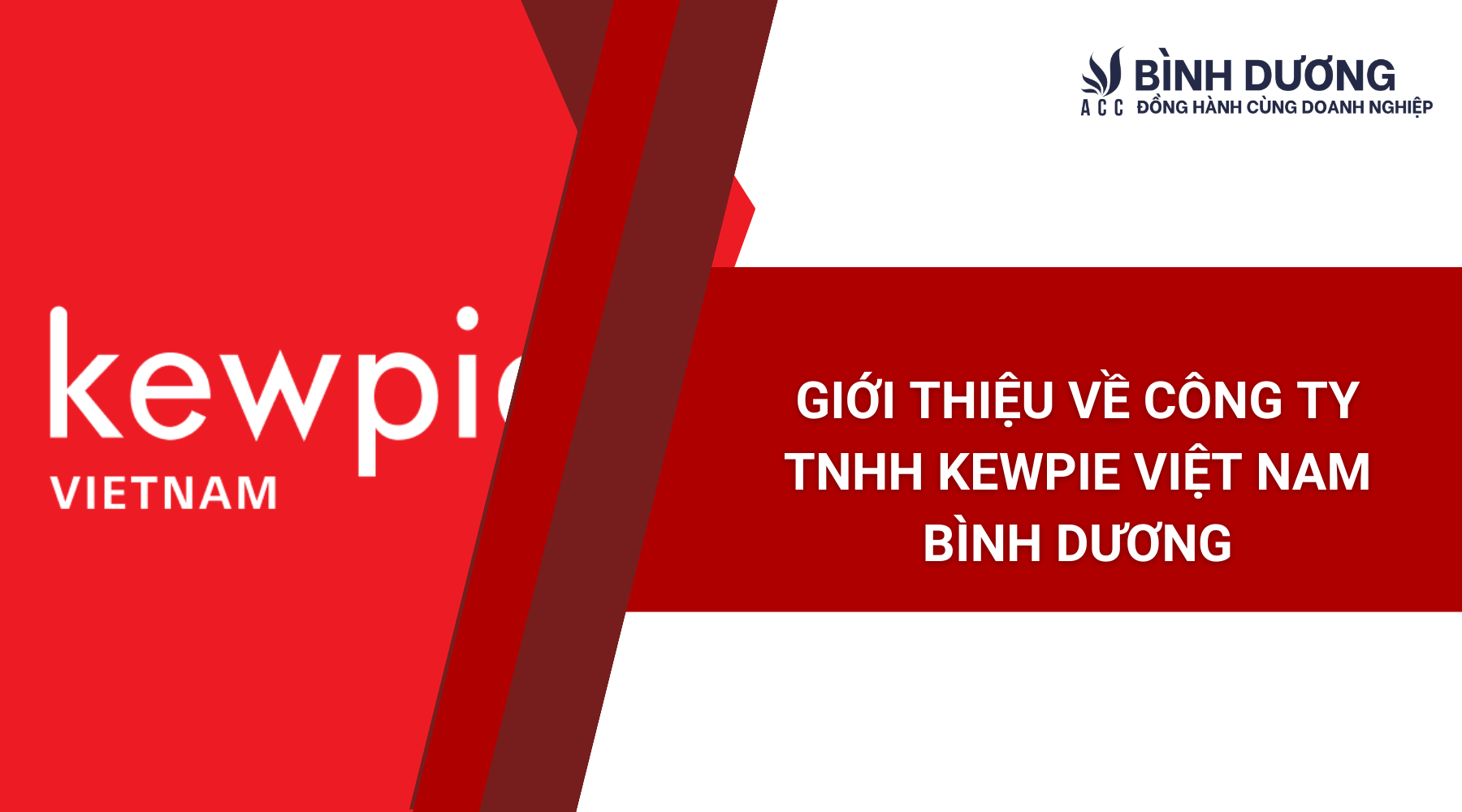 Giới thiệu về Công ty TNHH Kewpie Việt Nam Bình Dương