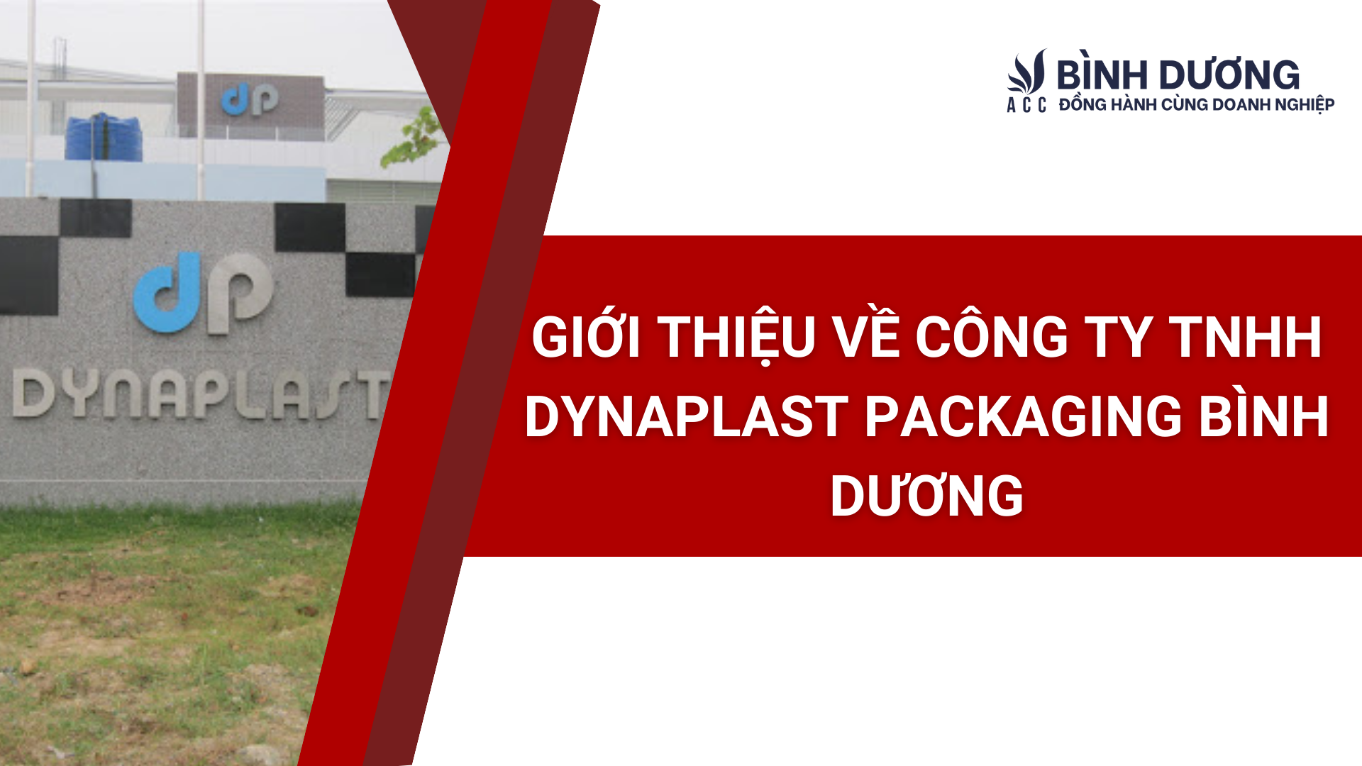 Giới thiệu về công ty TNHH Dynaplast Packaging bình dương