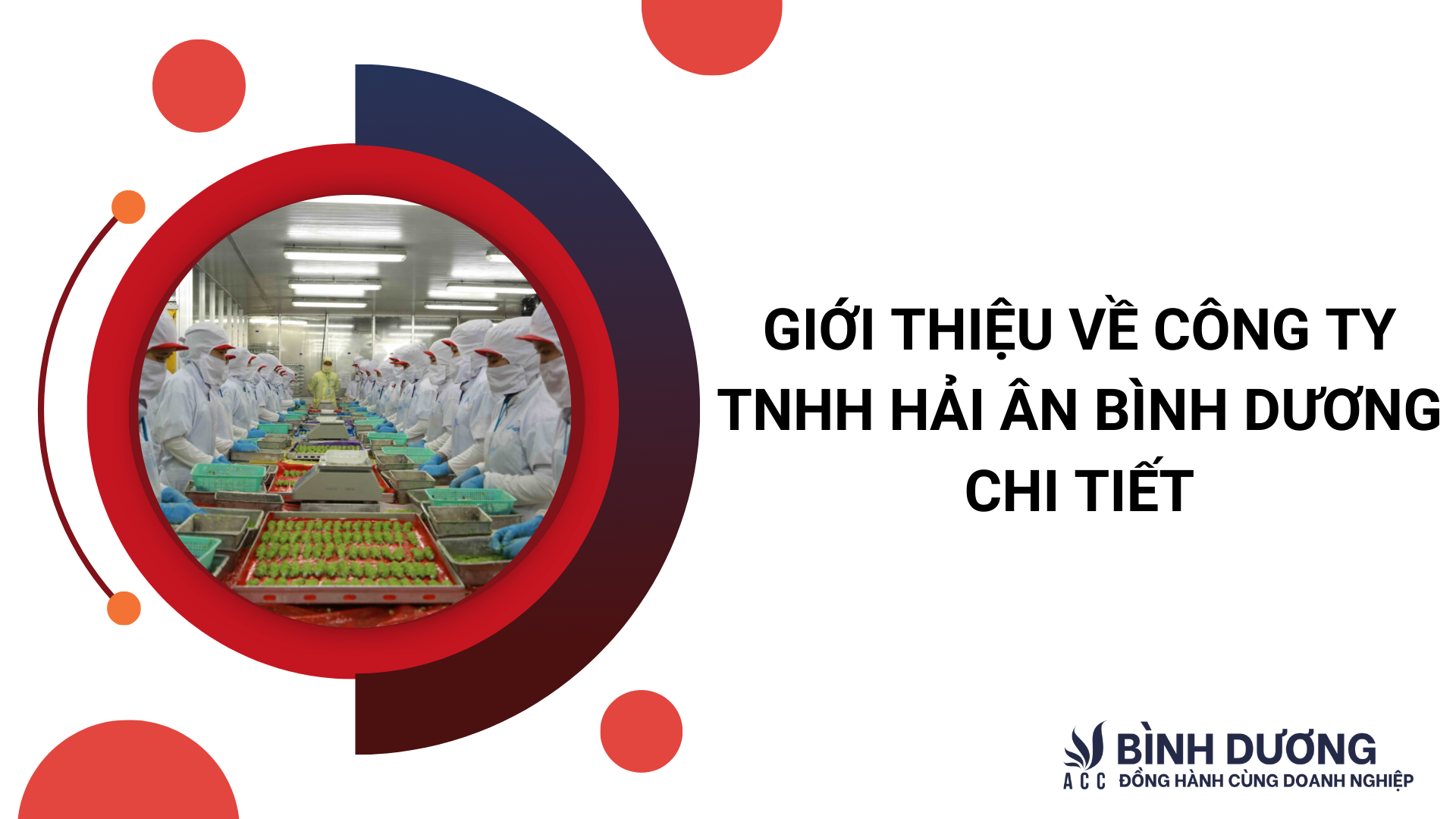 Giới thiệu về công ty TNHH Hải Ân bình dương chi tiết