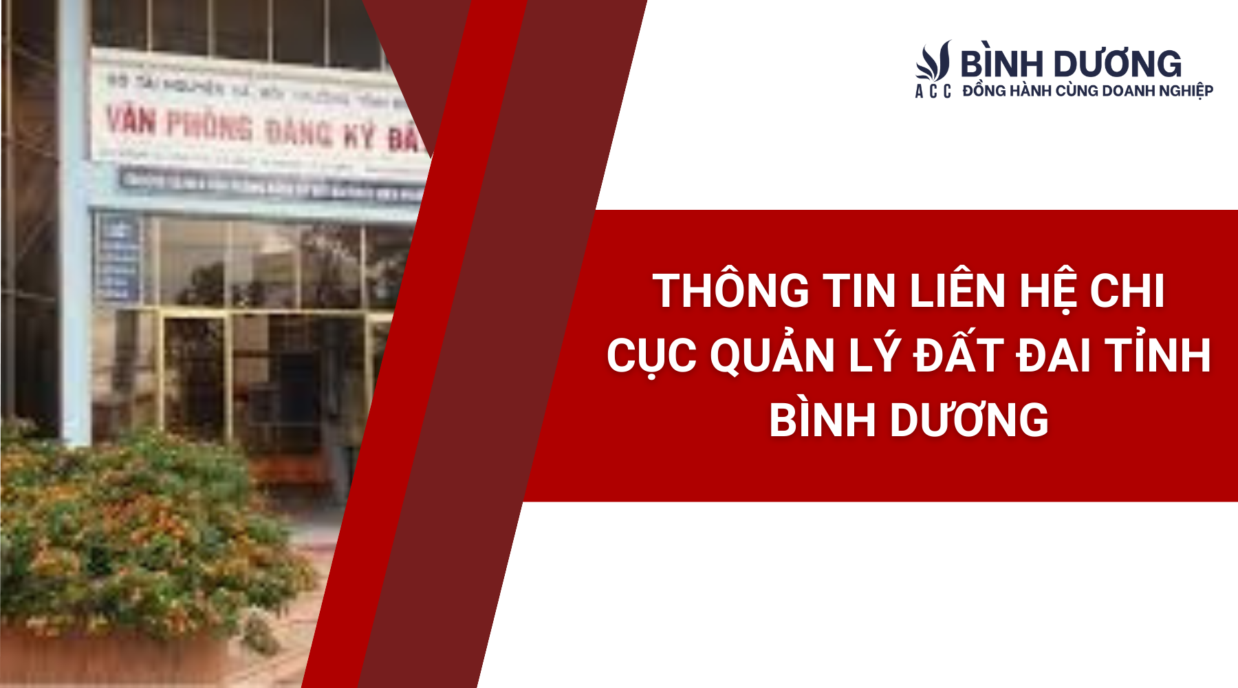 Thông tin liên hệ Chi cục Quản lý Đất đai tỉnh Bình Dương