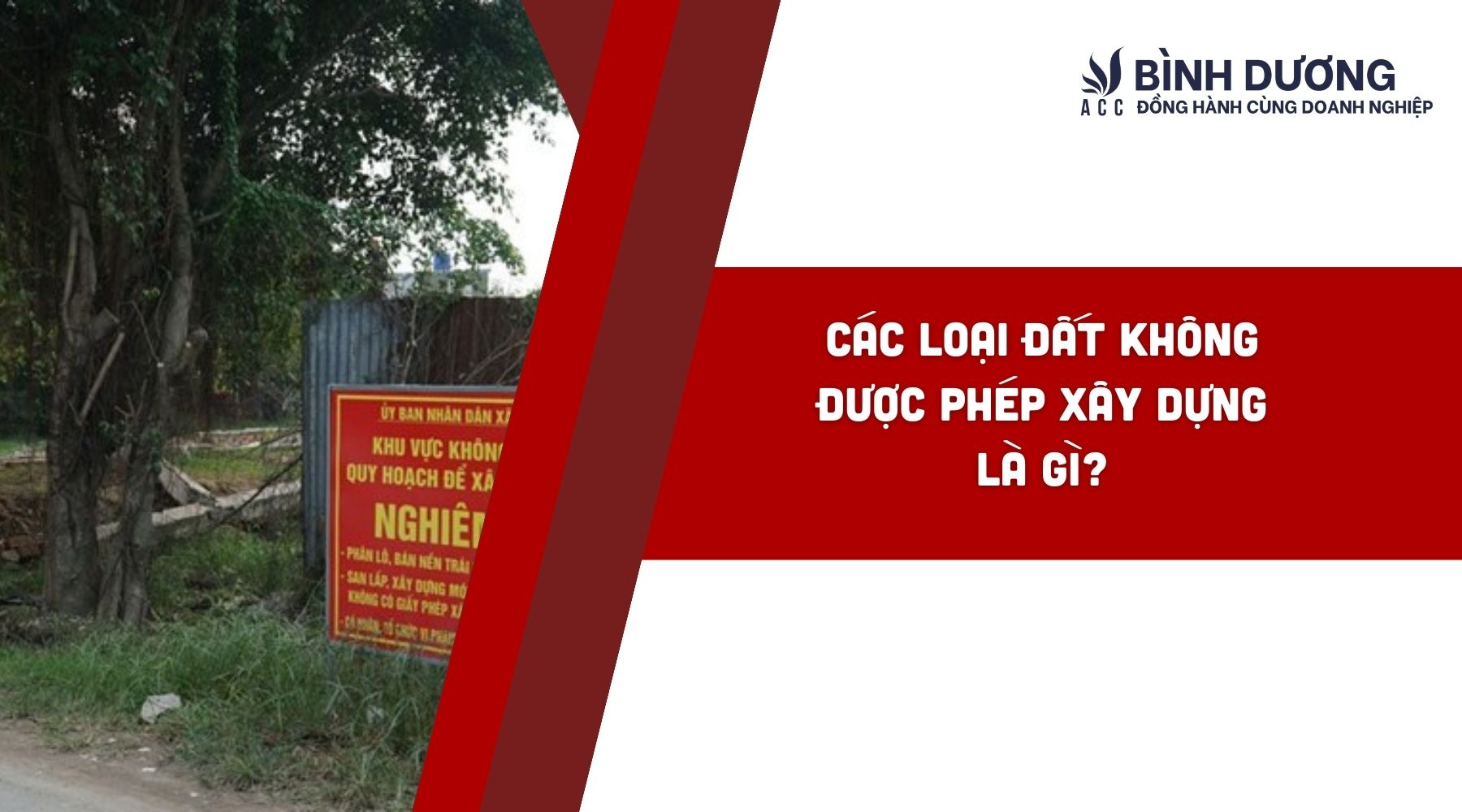 Các loại đất không được phép xây dựng là gì?