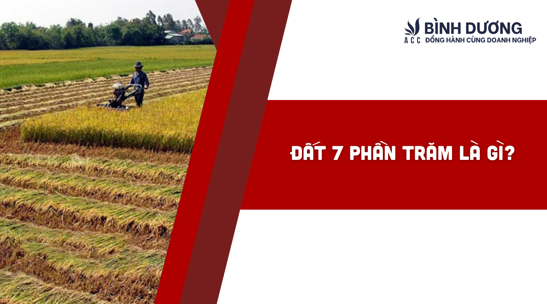 Đất 7 phần trăm là gì?