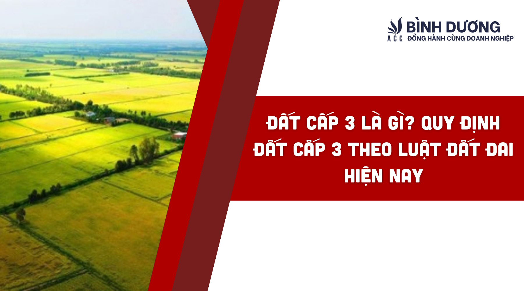 Đất cấp 3 là gì? Quy định đất cấp 3 theo Luật Đất Đai hiện nay