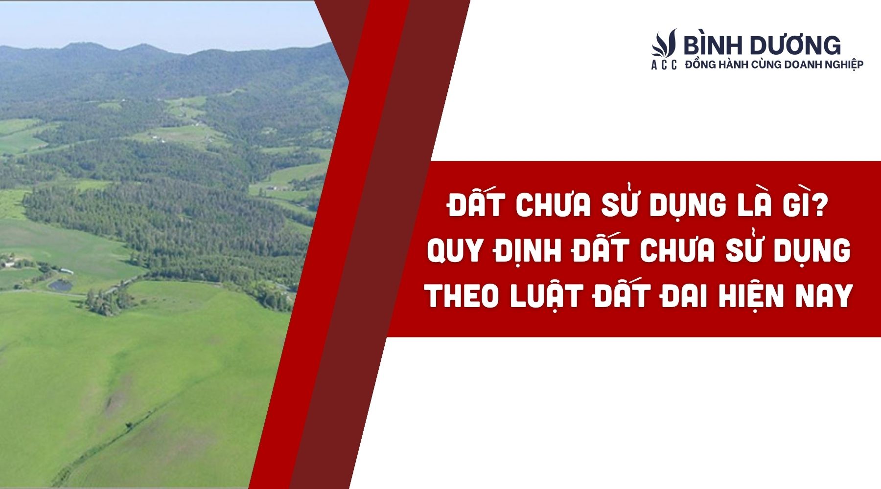 Đất chưa sử dụng là gì? Quy định đất chưa sử dụng theo Luật Đất Đai hiện nay