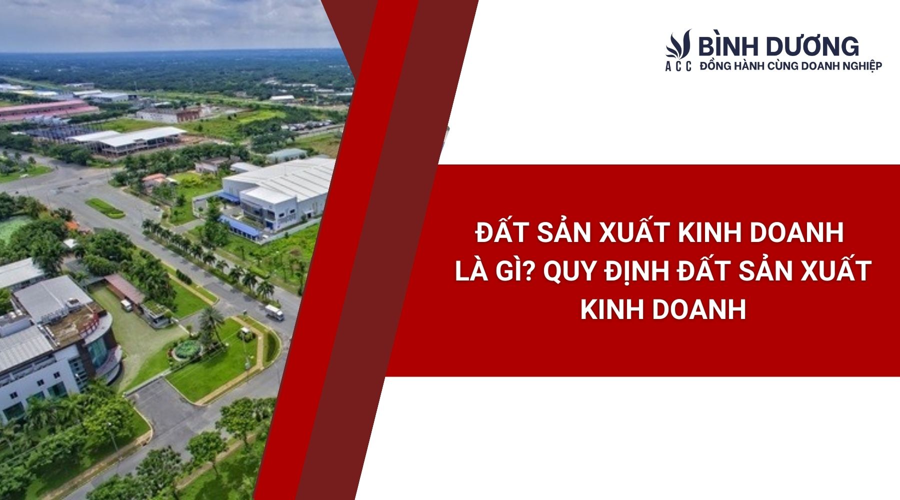 Đất sản xuất kinh doanh là gì? Quy định đất sản xuất kinh doanh