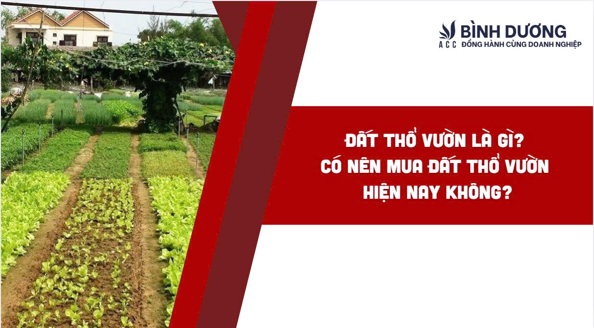 Đất vườn tạp là gì? Thời hạn sử dụng đất vườn tạp là bao nhiêu năm?