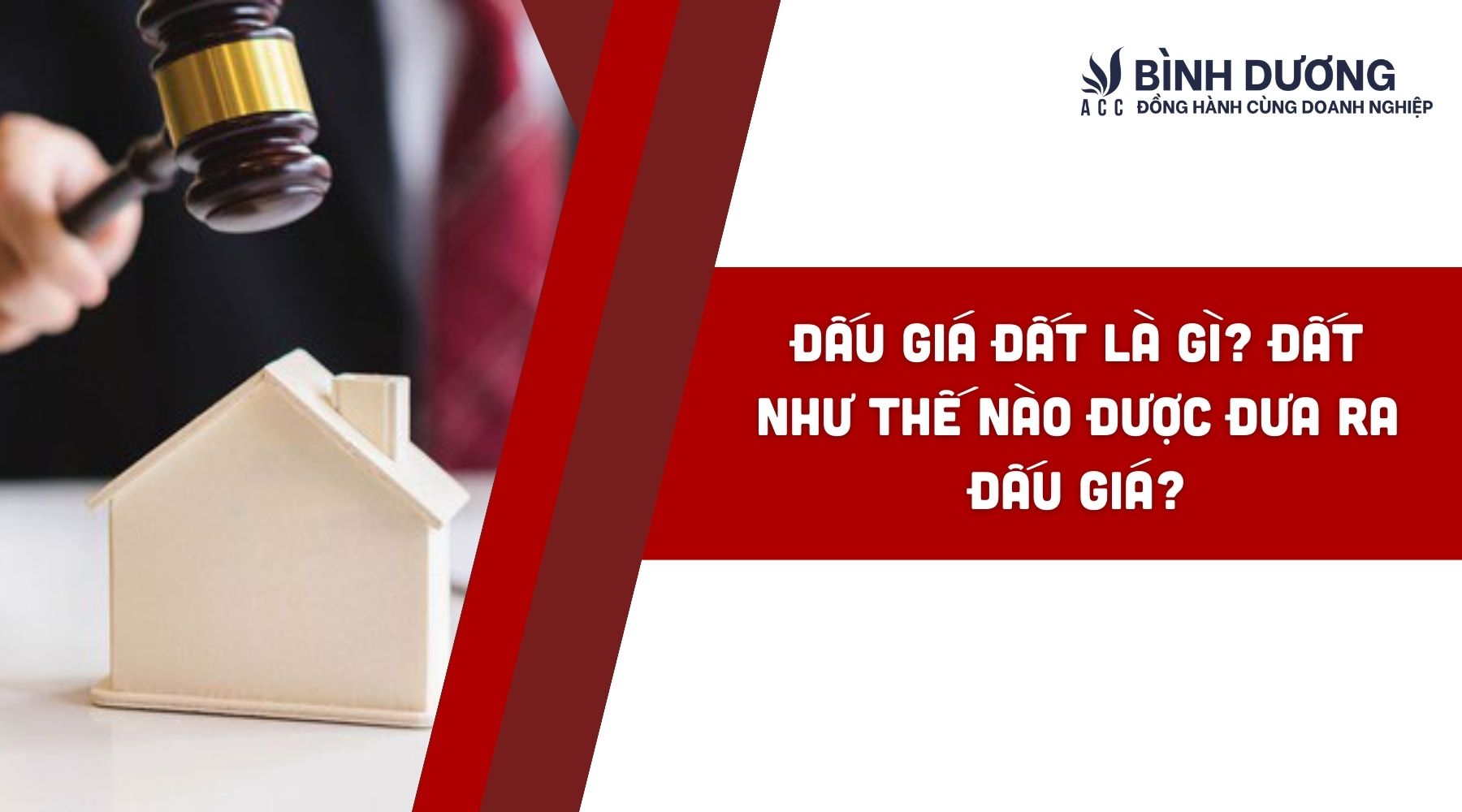 Đấu giá đất là gì? Đất như thế nào được đưa ra đấu giá?