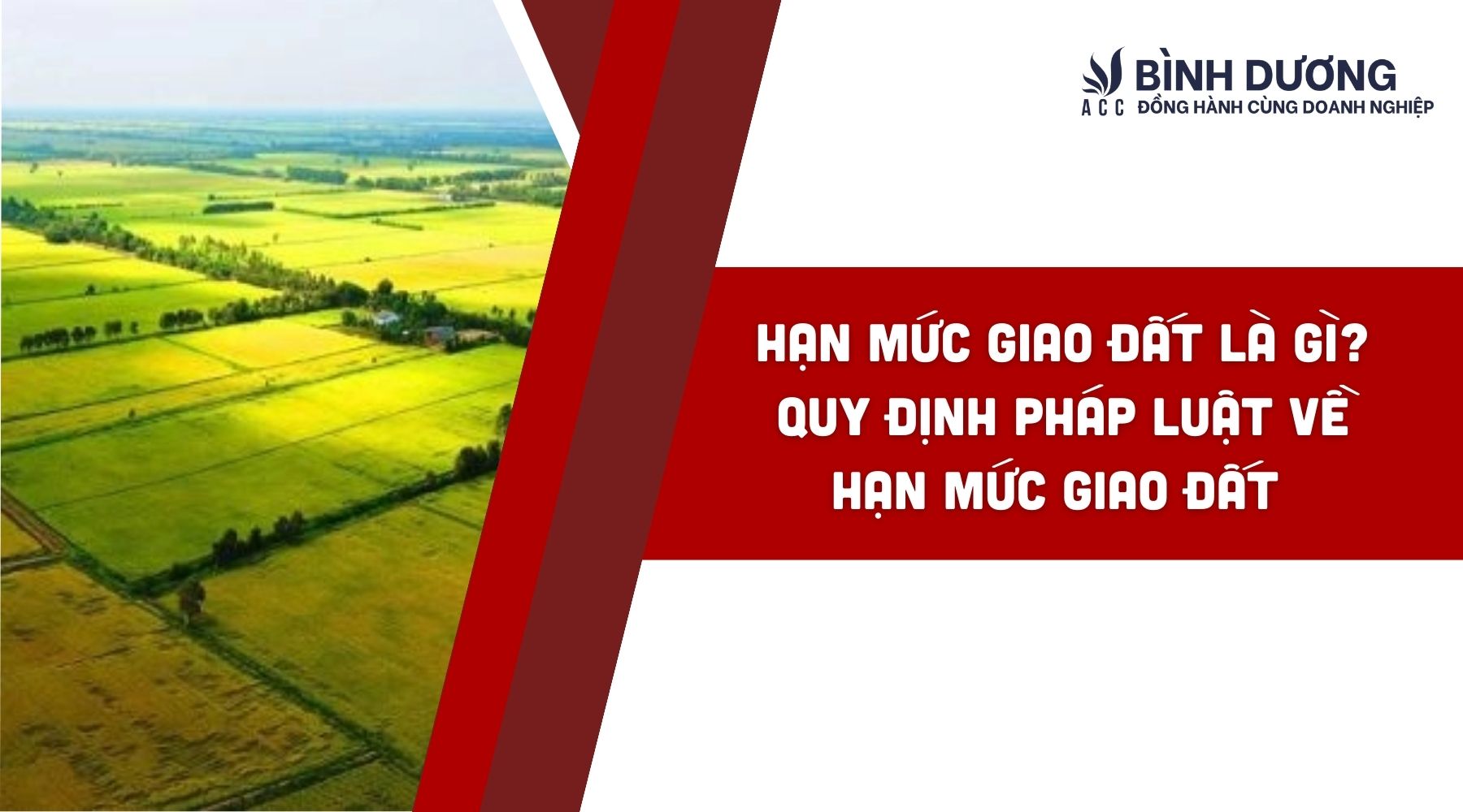 Hạn mức giao đất là gì? Quy định pháp luật về hạn mức giao đất
