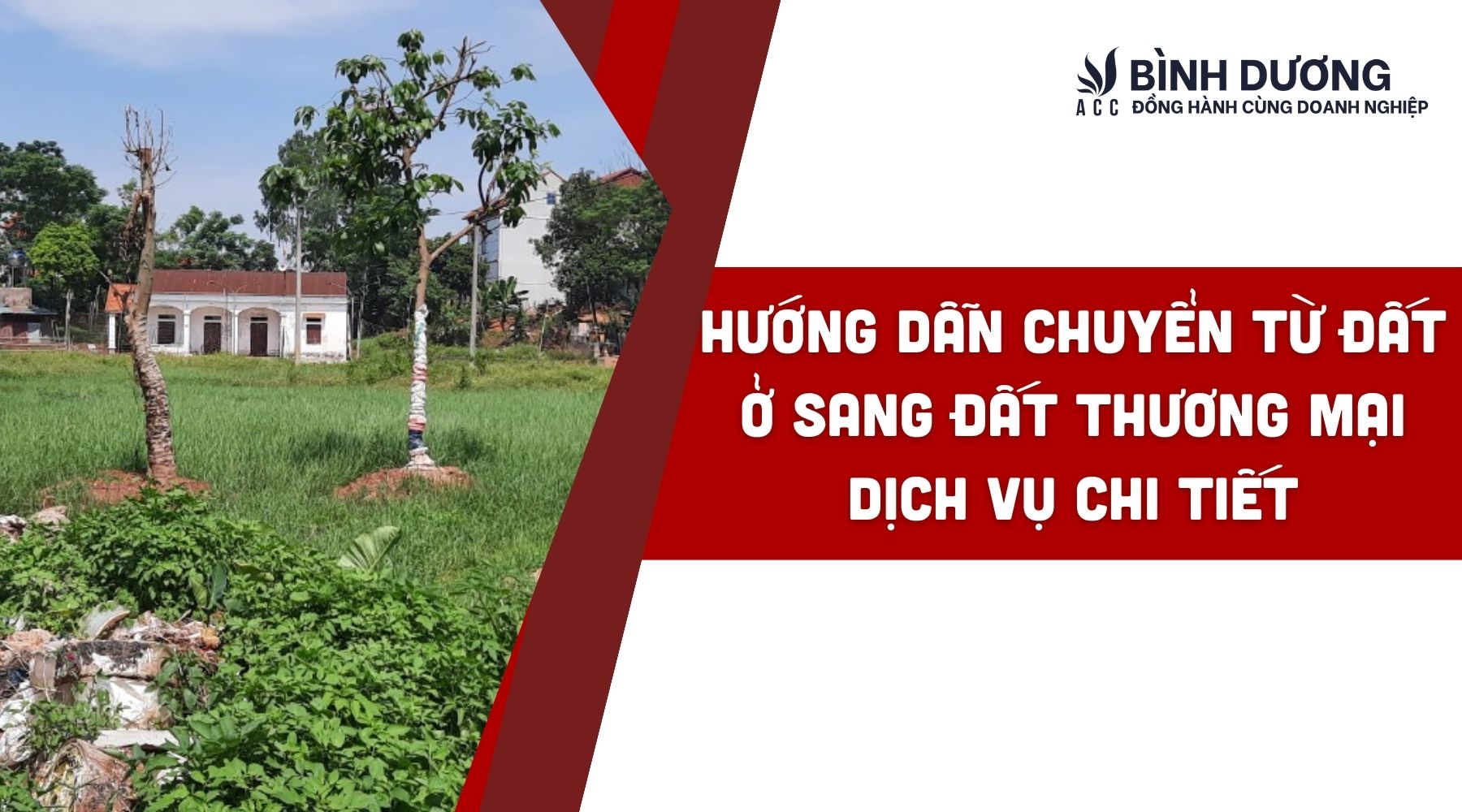 Hướng dẫn chuyển từ đất ở sang đất thương mại dịch vụ chi tiết