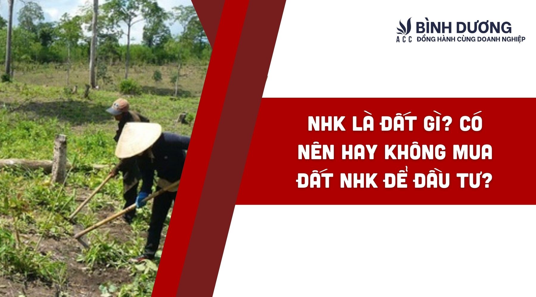 NHK là đất gì? Có nên hay không mua đất NHK để đầu tư?
