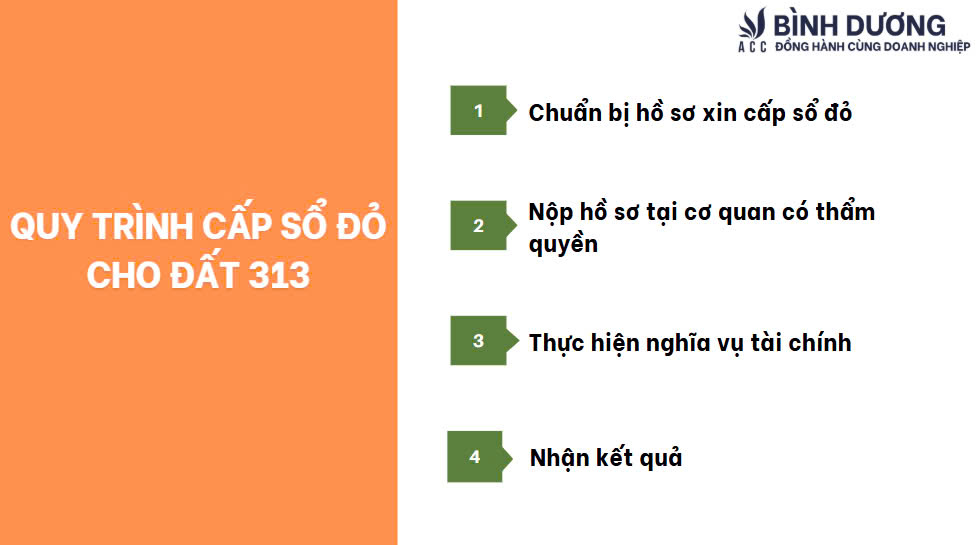 Quy trình cấp sổ đỏ cho đất 313