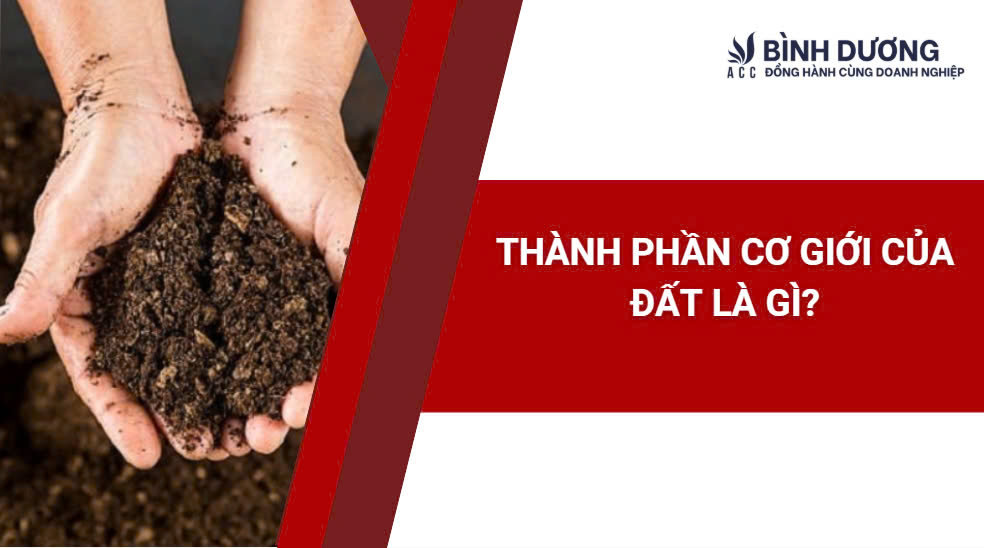 Thành phần cơ giới của đất là gì?