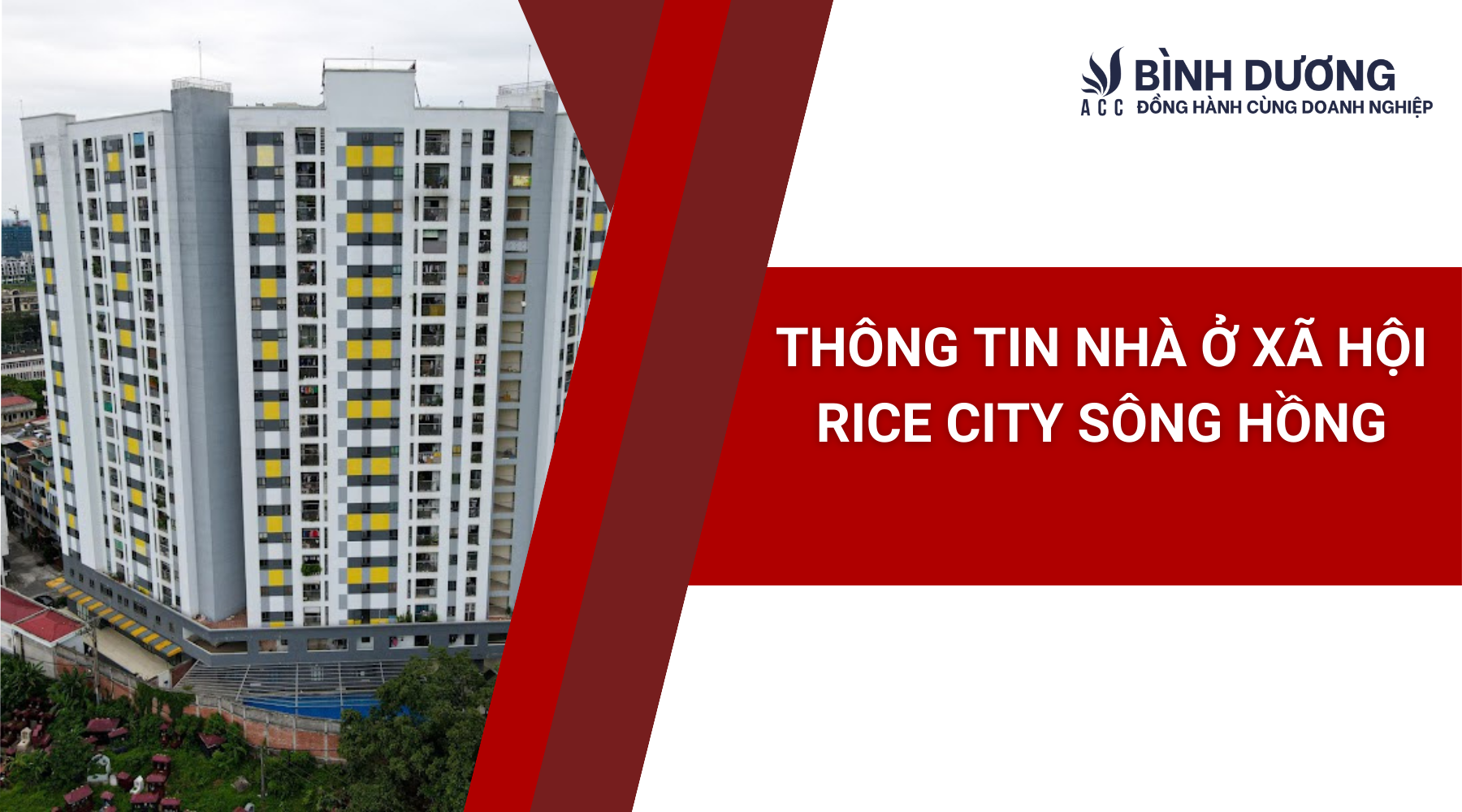 Thông tin nhà ở xã hội Rice City Sông Hồng