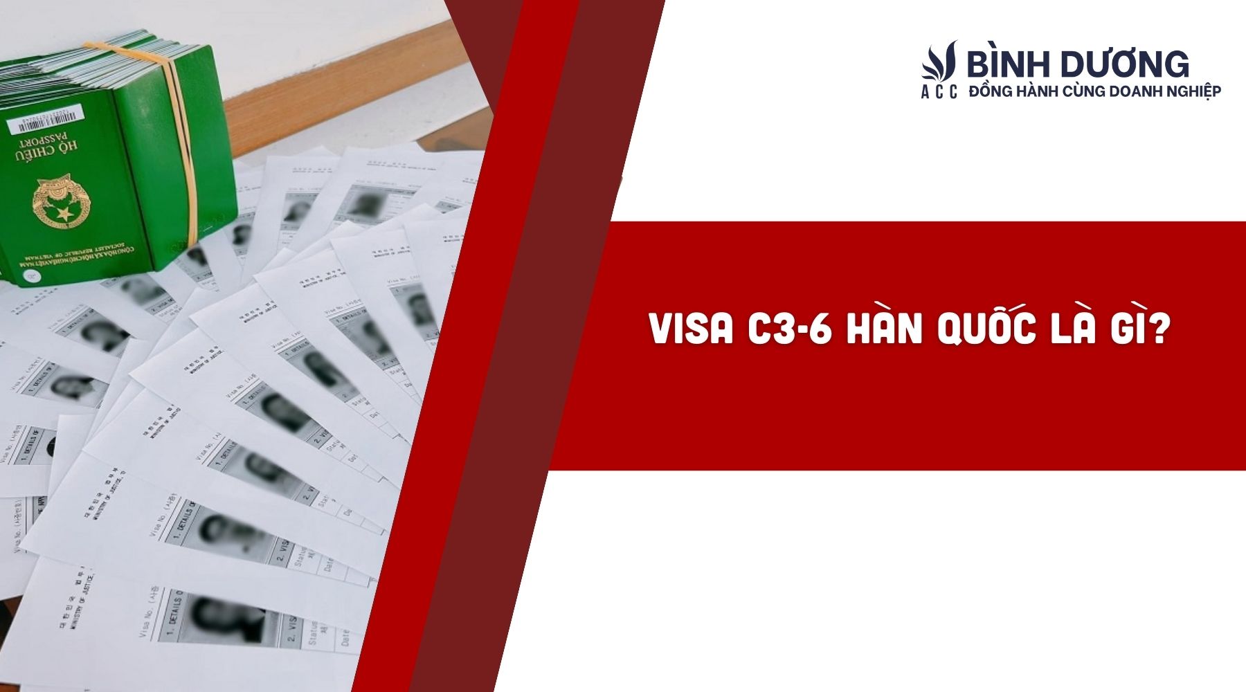 Visa C3-6 Hàn Quốc là gì?
