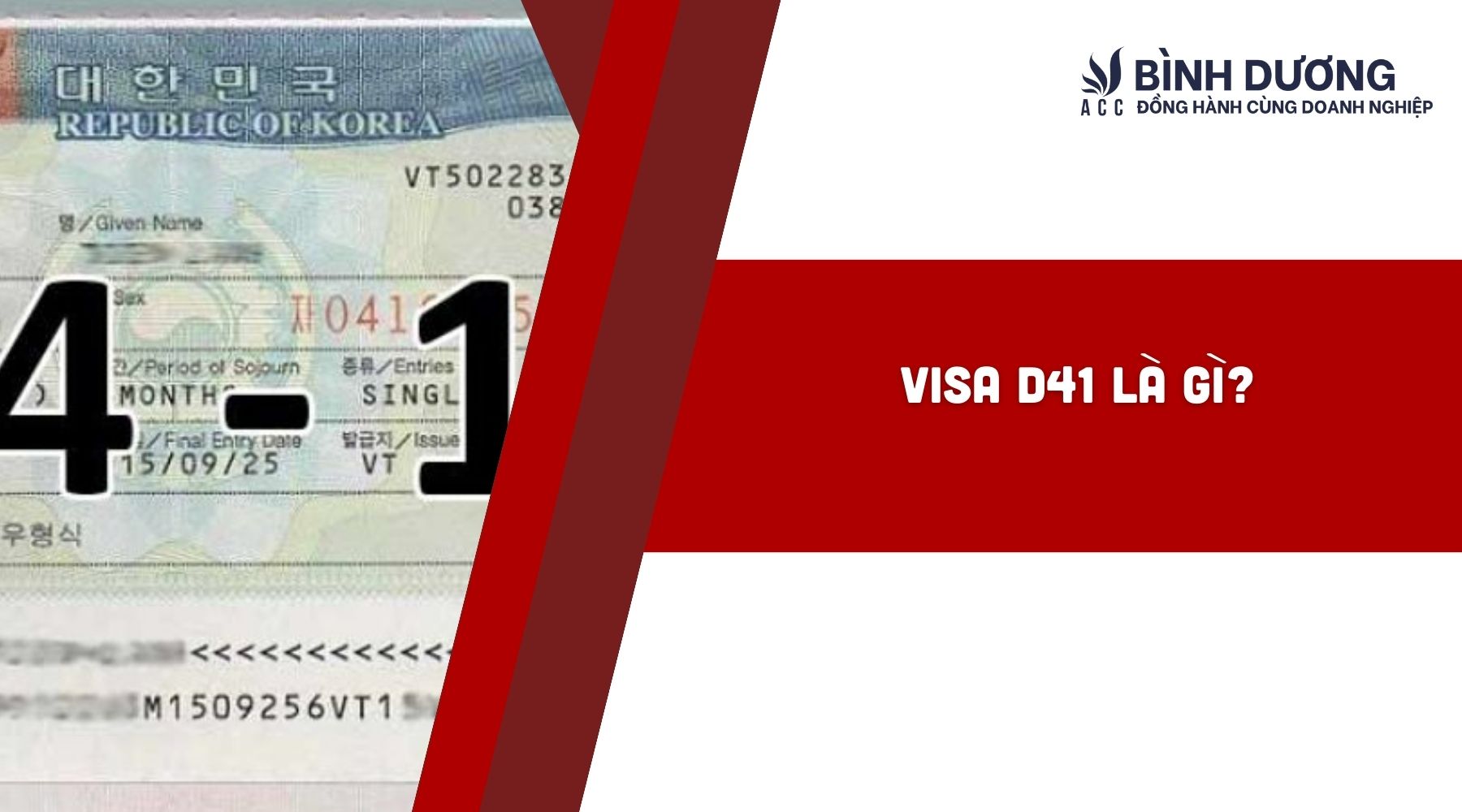 Visa D41 là gì?