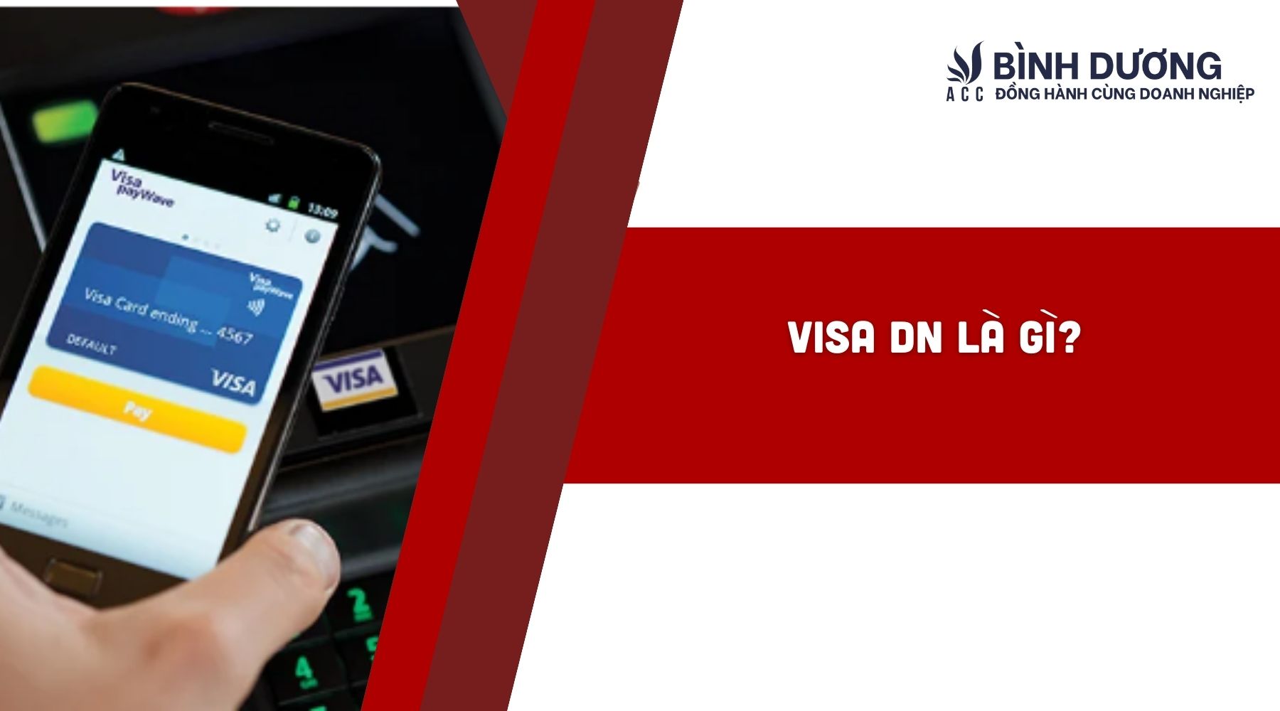 Visa DN là gì?