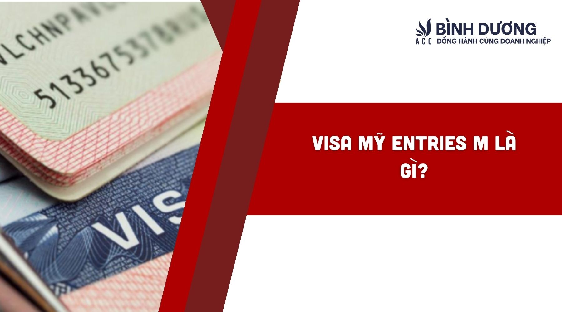 Visa Mỹ entries M là gì?