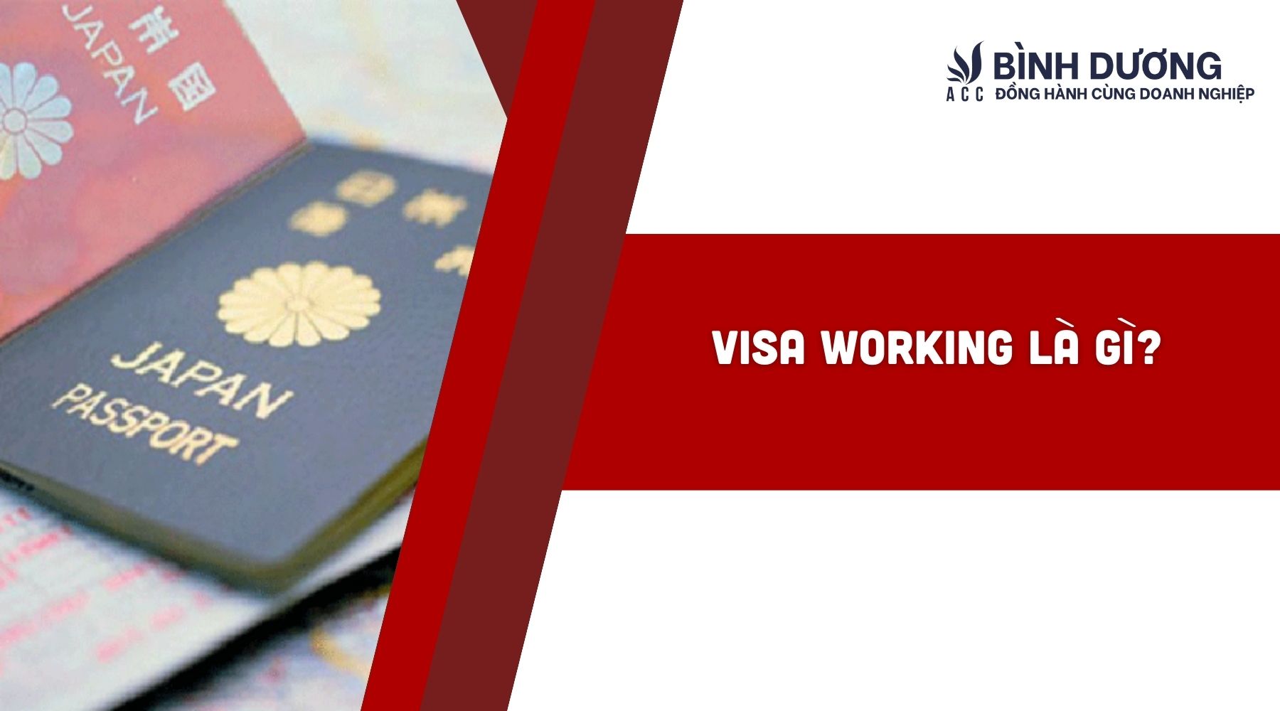 Visa working là gì?