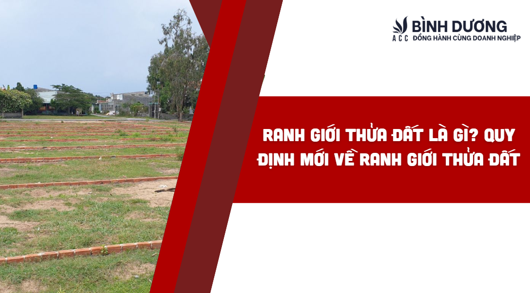 Ranh giới thửa đất là gì? Quy định mới về ranh giới thửa đất