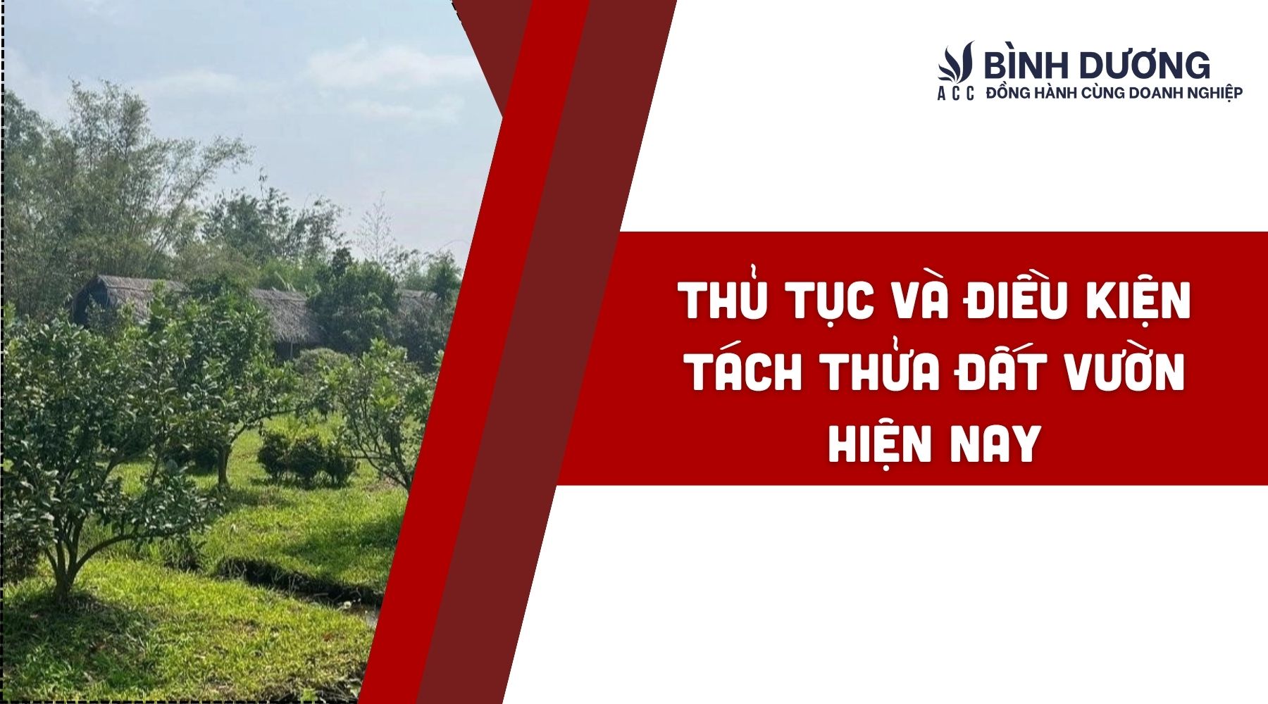 Thủ tục và điều kiện tách thửa đất vườn hiện nay