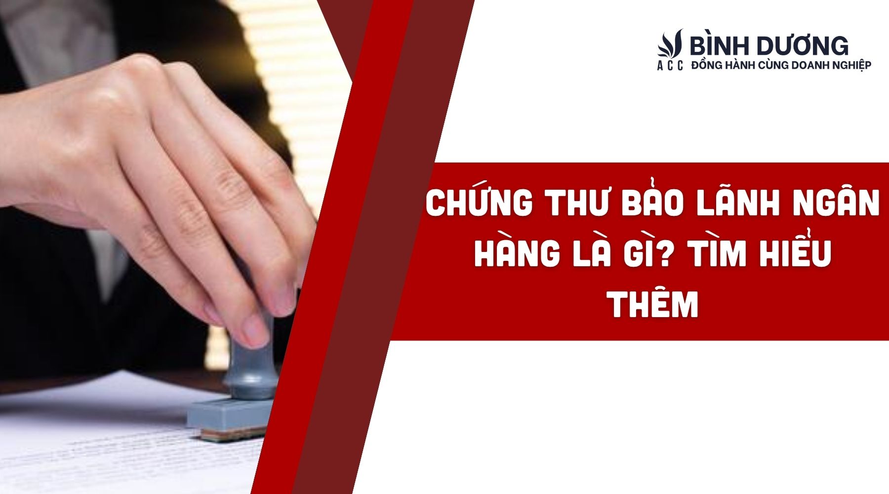 Thư bảo lãnh là gì? Tìm hiểu thêm