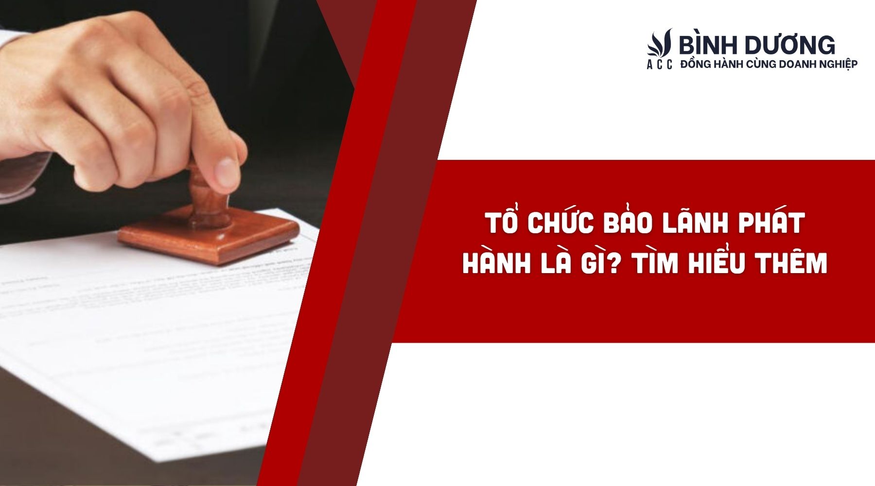 Tổ chức bảo lãnh phát hành là gì? Tìm hiểu thêm